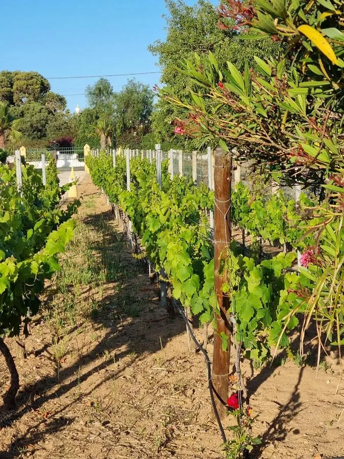 **** Hotel Casa Bela Moura, Boutique Hotel&Wine Porches  Portugal