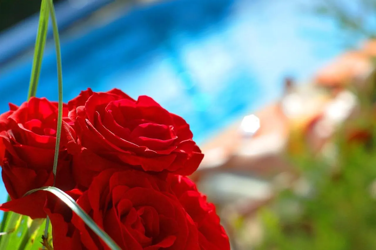 ****  Casa Bela Moura, Boutique Hotel & Wine Porches  Portugal